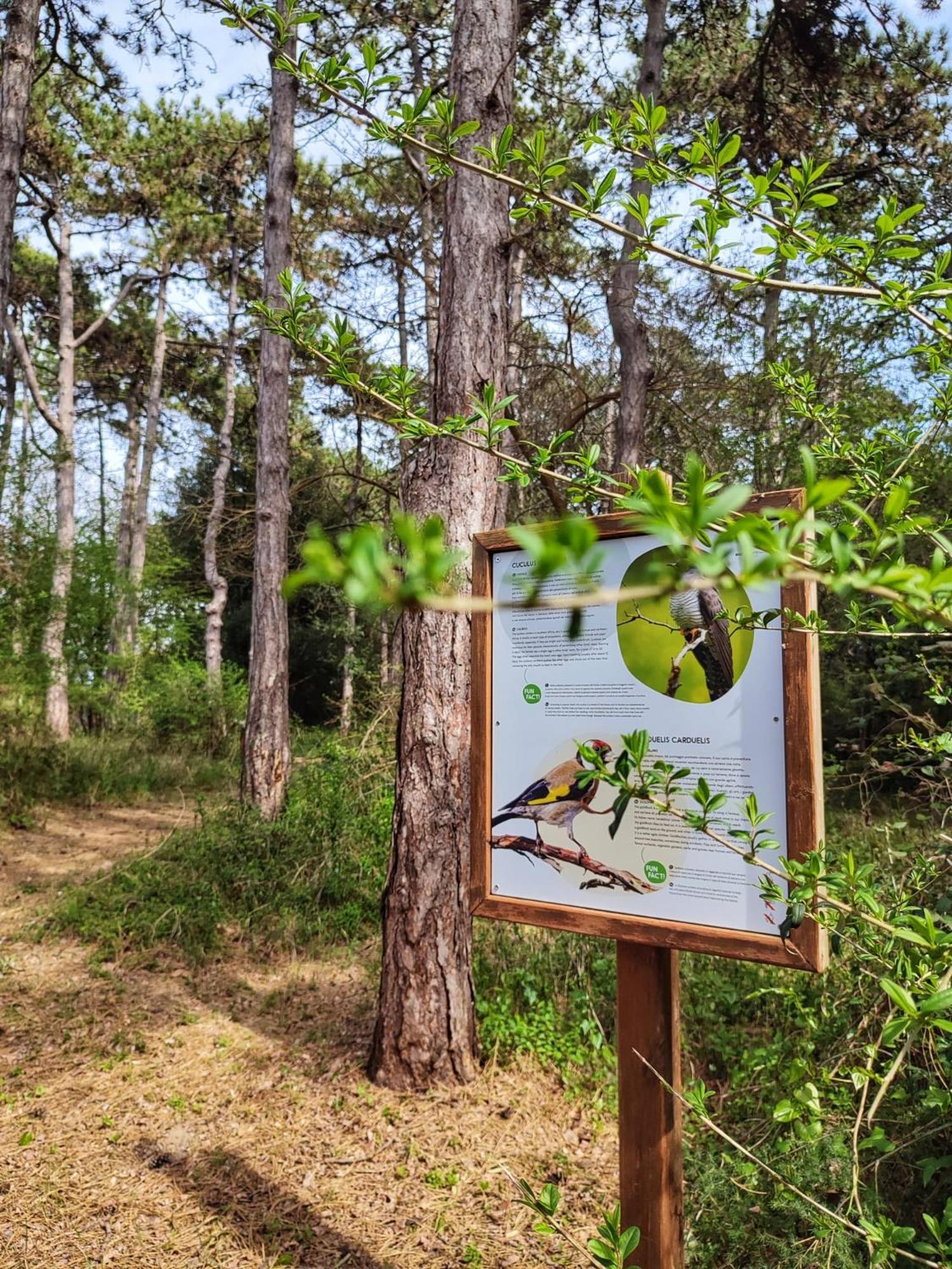 Green Village Eco Resort ลินญาโน ซับเบียโดโร ภายนอก รูปภาพ